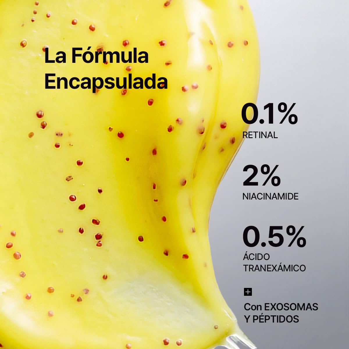 galeria 6