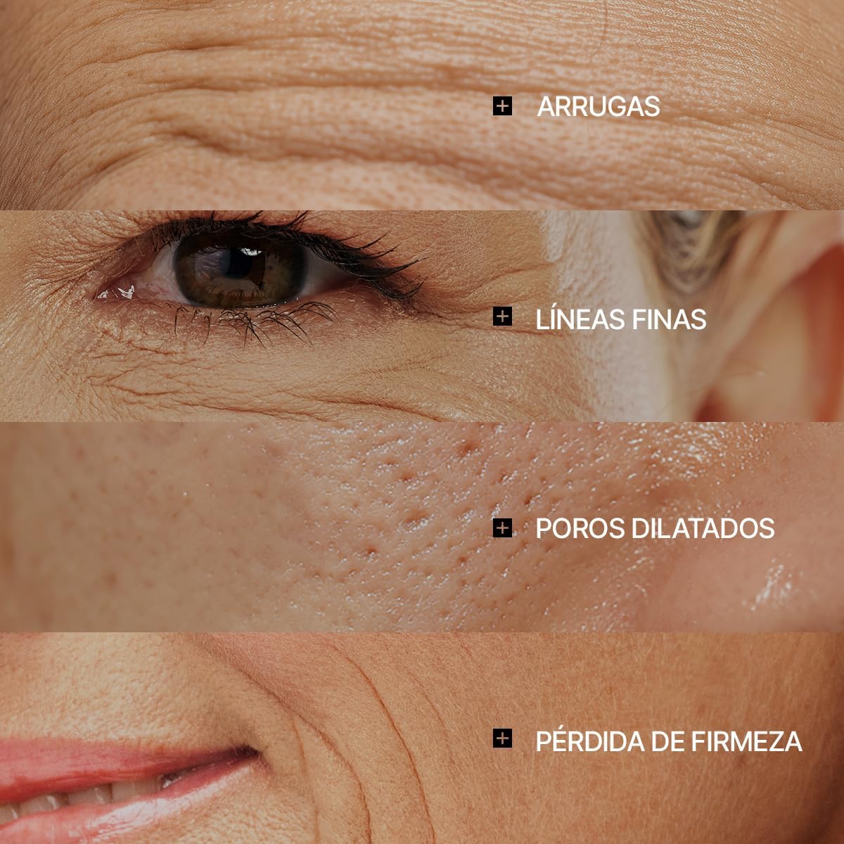 galeria 9